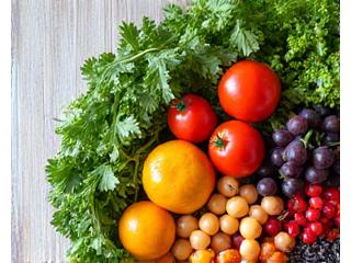 Vibrant array of fresh vegetables and fruits symbolizing functional nutrition.
